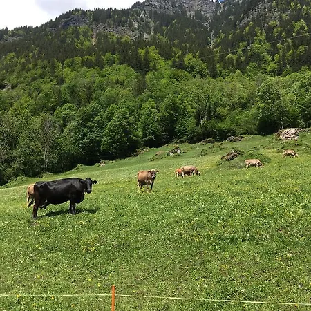 Terrasse Nessental Gadmen