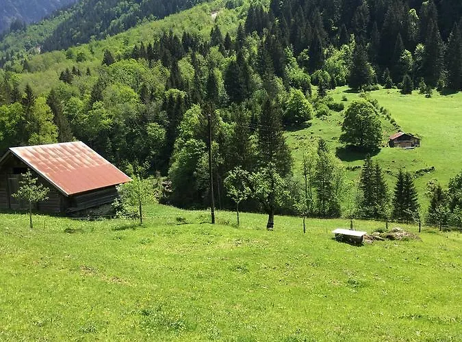 Terrasse Nessental Gadmen
